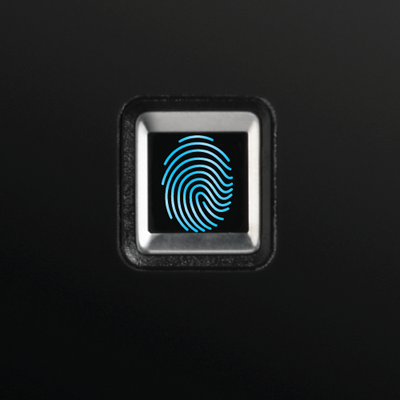 LX110B - Biometric Security Safe