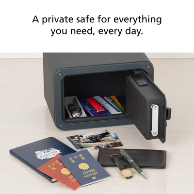 SSV120GB - Biometric Security Safe
