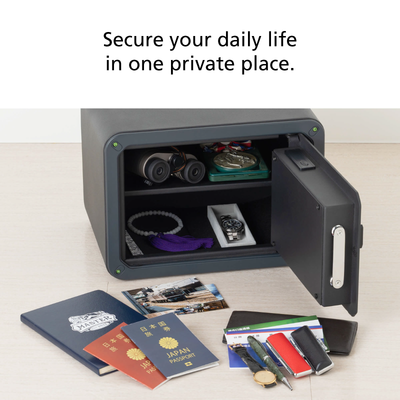 SSV125GB - Biometric Security Safe