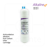 Replacement ANTIOXIDANT ALKALINE Filter <4> for H2O AP-T & AP-S