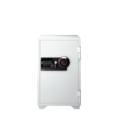 S6370 - Combination Business Fire Safe